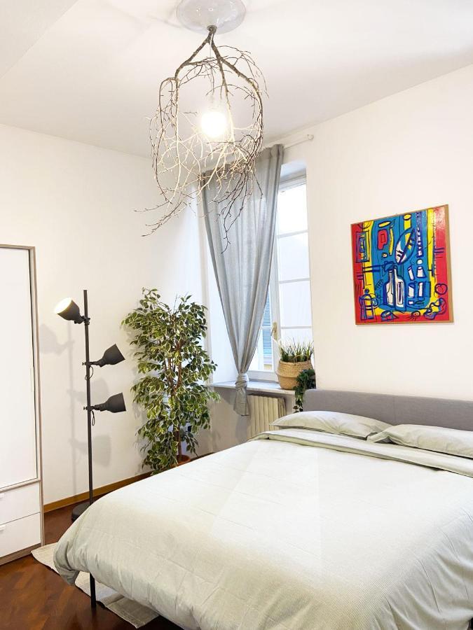 Wild Apartment
